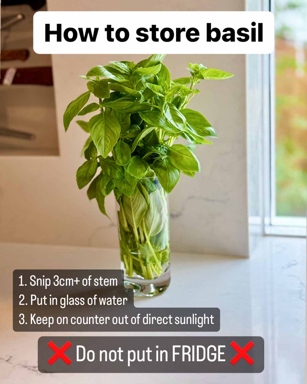 How to store basil