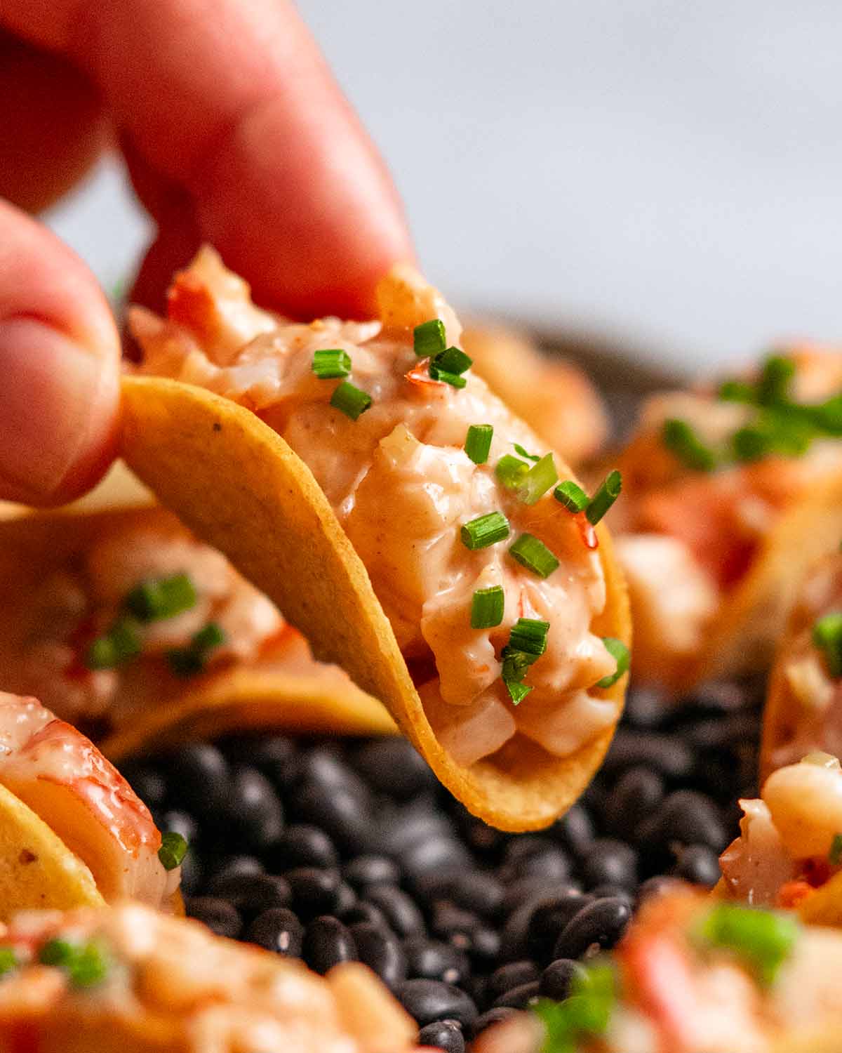 Prawn cocktail mini tacos